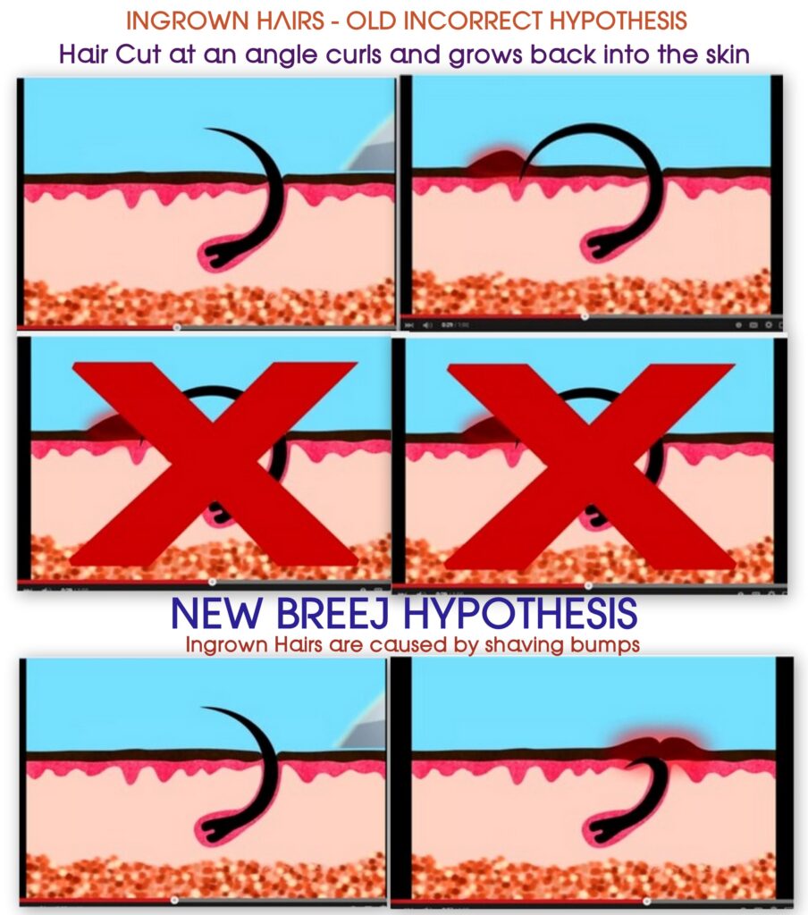 old best and new hypothesis schematic 71215